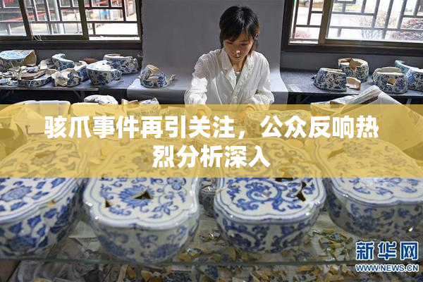 骇爪事件再引关注，公众反响热烈分析深入