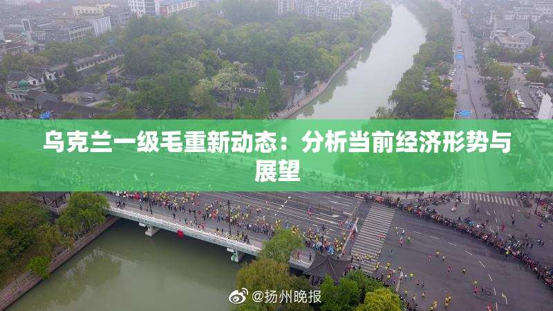 乌克兰一级毛重新动态：分析当前经济形势与展望
