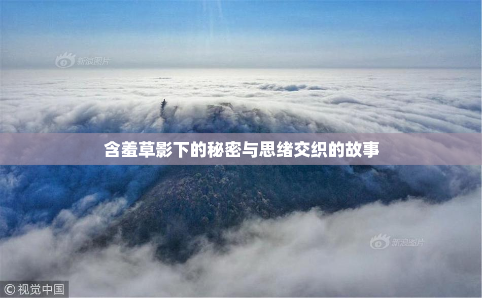 含羞草影下的秘密与思绪交织的故事