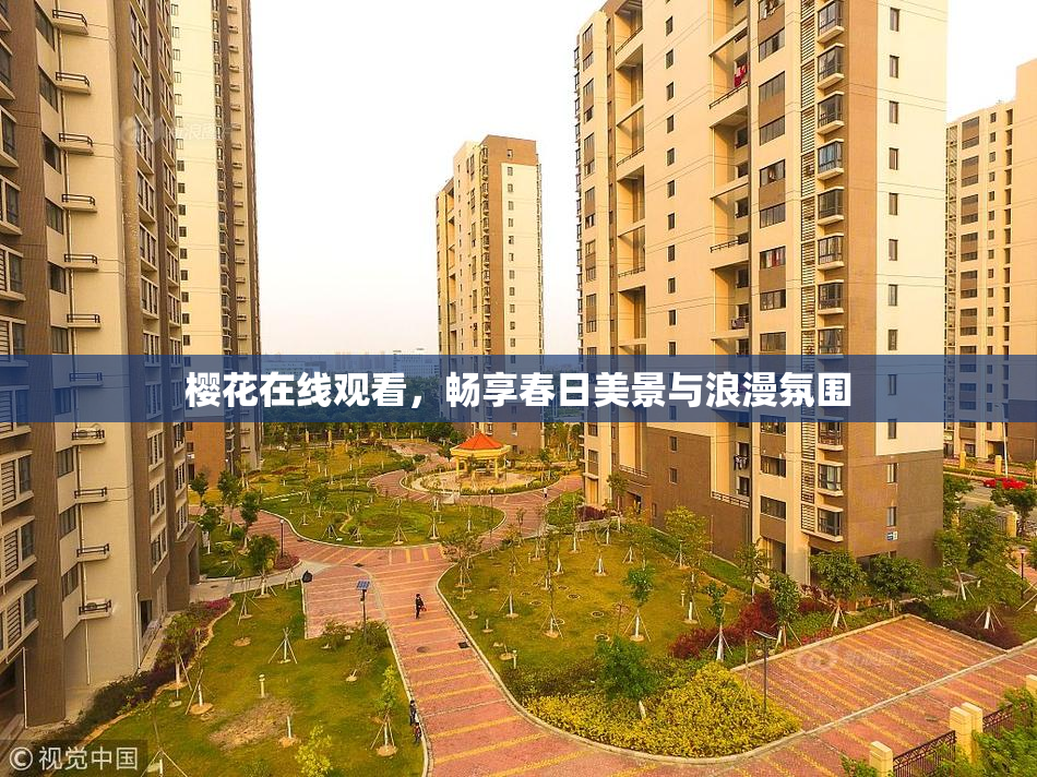 樱花在线观看，畅享春日美景与浪漫氛围