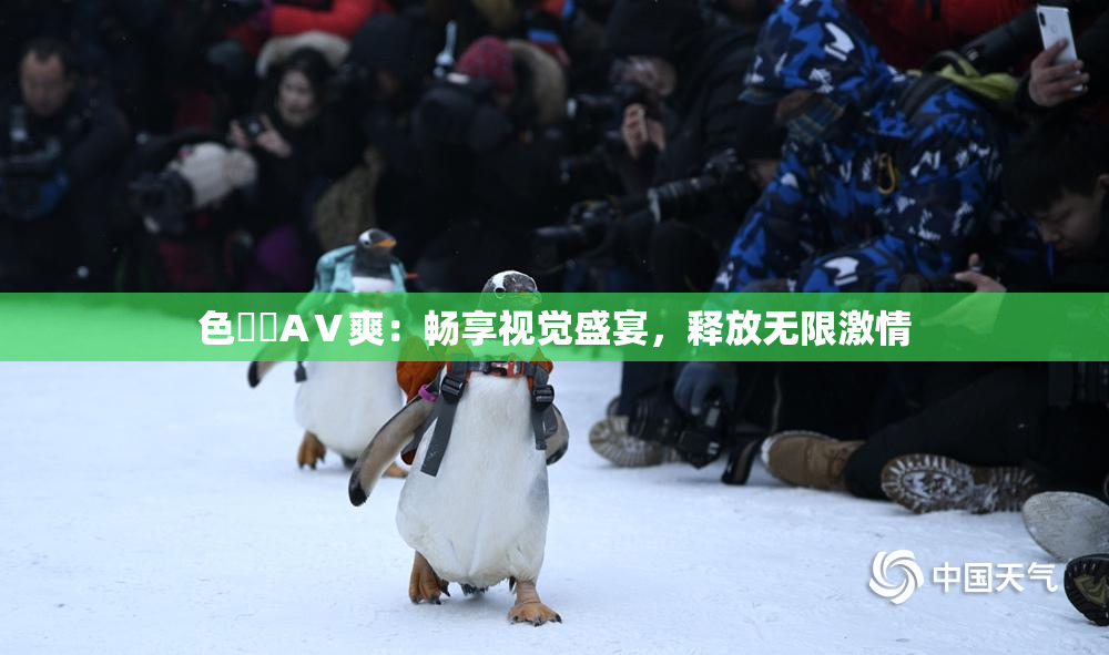 色妺妺AⅤ爽：畅享视觉盛宴，释放无限激情