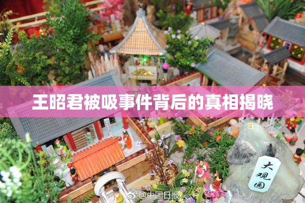王昭君被吸事件背后的真相揭晓