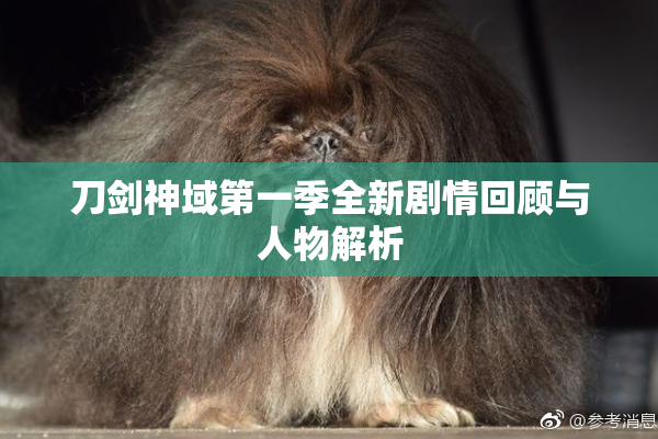 刀剑神域第一季全新剧情回顾与人物解析