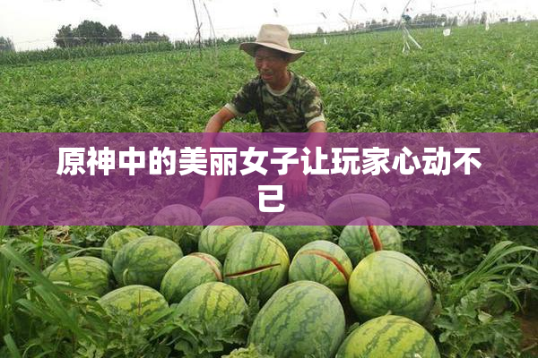 原神中的美丽女子让玩家心动不已