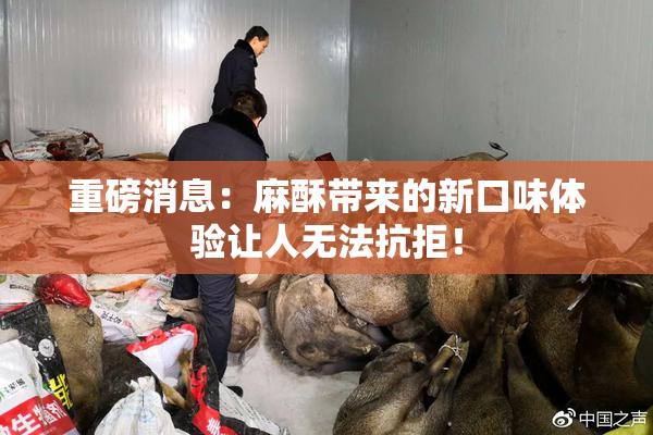 重磅消息：麻酥带来的新口味体验让人无法抗拒！
