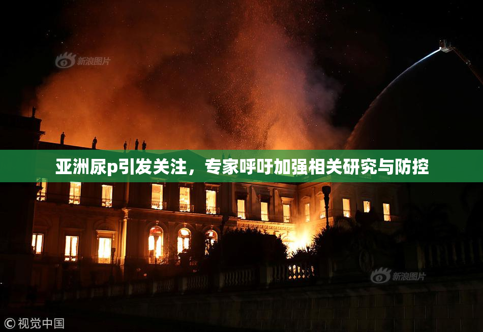 亚洲尿p引发关注，专家呼吁加强相关研究与防控