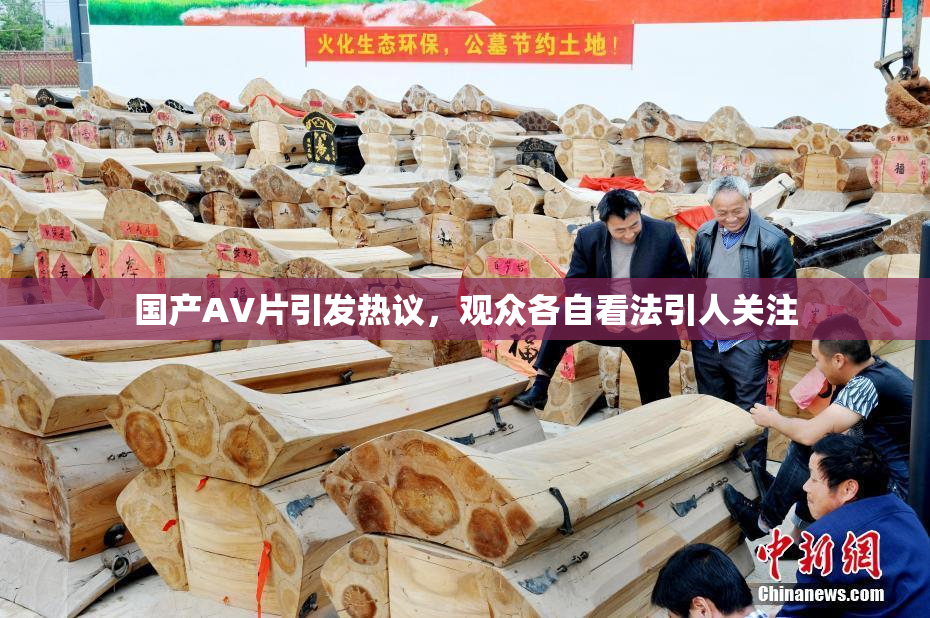 国产AV片引发热议，观众各自看法引人关注