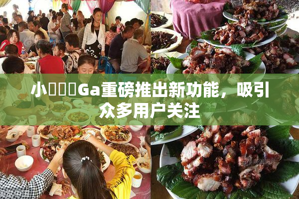 小藍視頻Ga重磅推出新功能，吸引众多用户关注