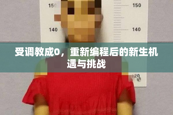 受调教成0，重新编程后的新生机遇与挑战