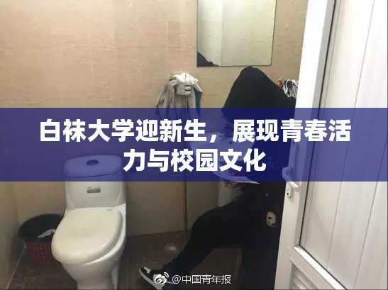 白袜大学迎新生，展现青春活力与校园文化