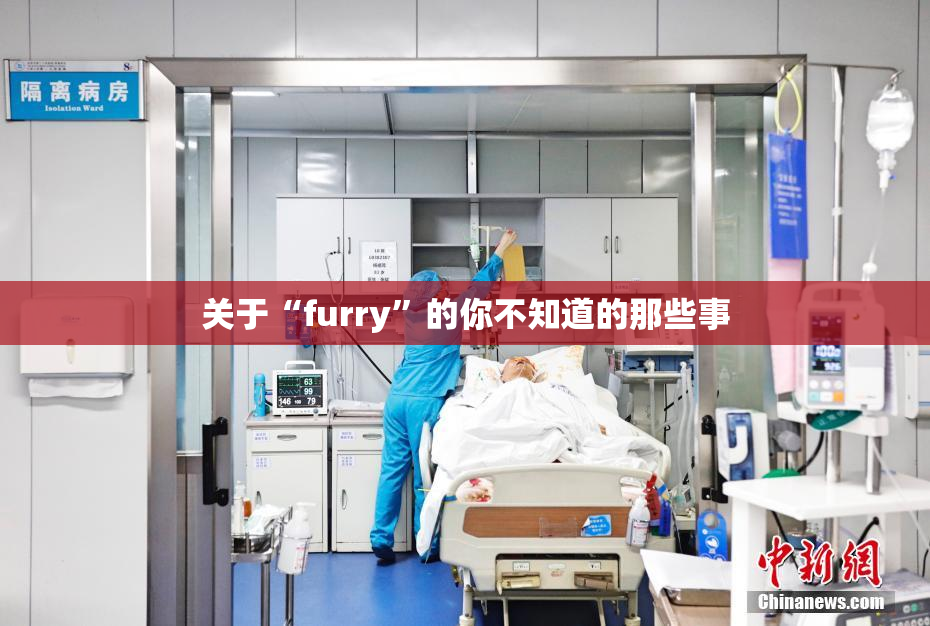 关于“furry”的你不知道的那些事