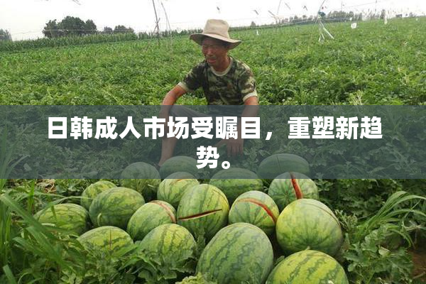 日韩成人市场受瞩目，重塑新趋势。