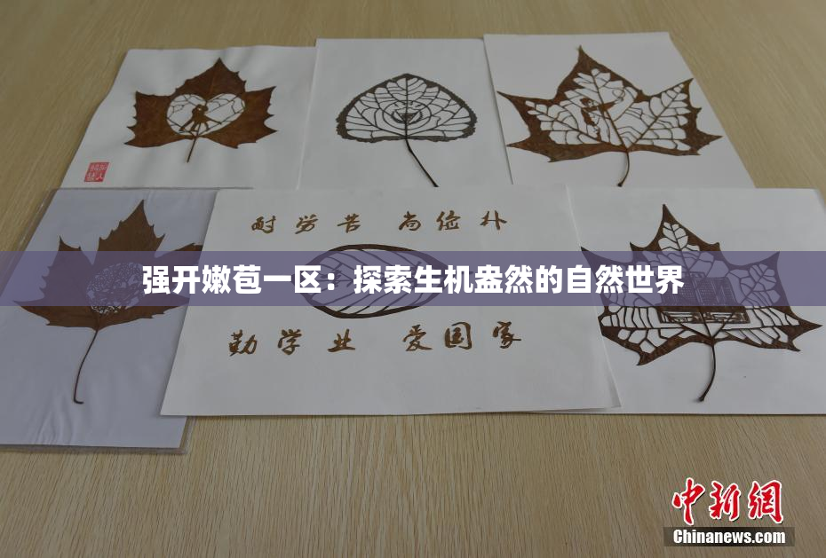 强开嫩苞一区：探索生机盎然的自然世界