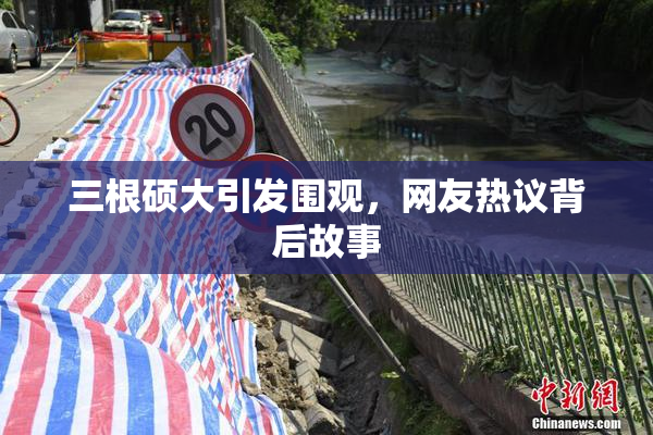 三根硕大引发围观，网友热议背后故事