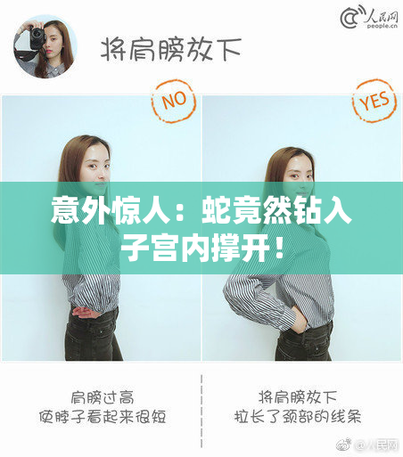 意外惊人：蛇竟然钻入子宫内撑开！