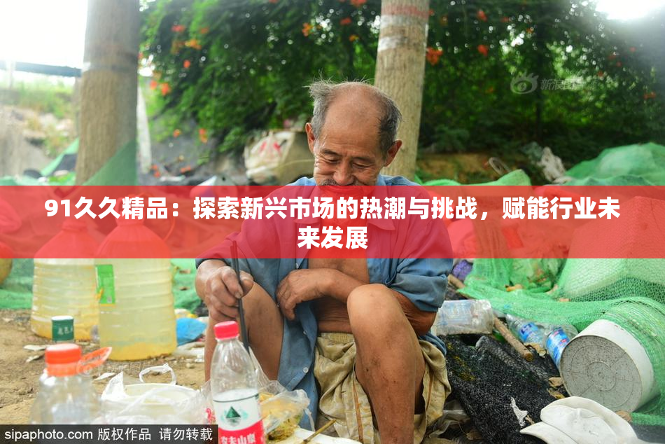 91久久精品：探索新兴市场的热潮与挑战，赋能行业未来发展