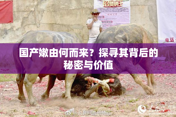 国产嫩由何而来？探寻其背后的秘密与价值