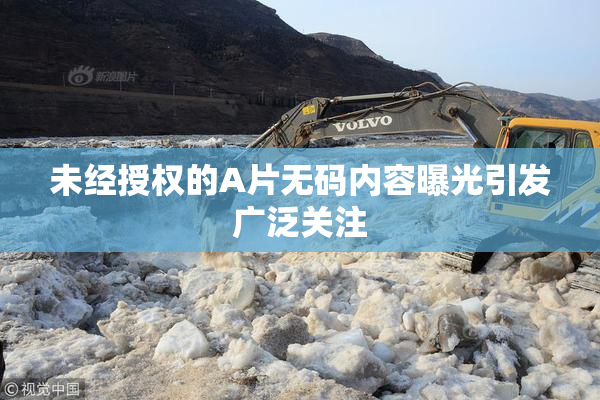 未经授权的A片无码内容曝光引发广泛关注