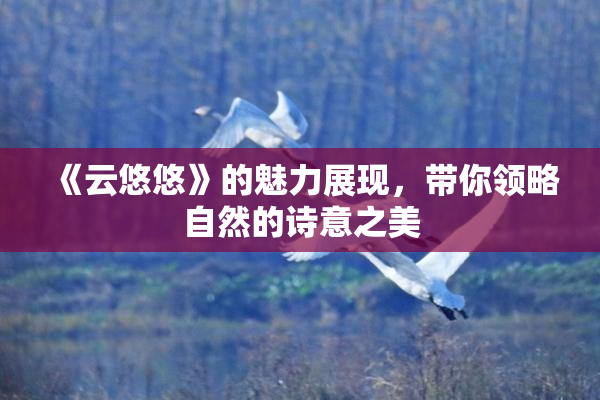 《云悠悠》的魅力展现，带你领略自然的诗意之美