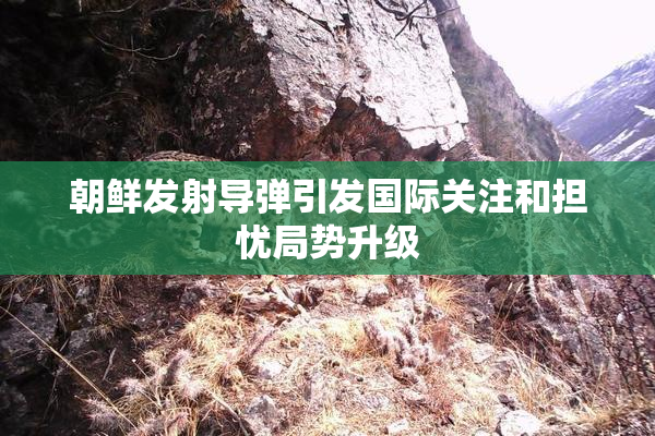 朝鲜发射导弹引发国际关注和担忧局势升级