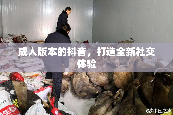 成人版本的抖音，打造全新社交体验