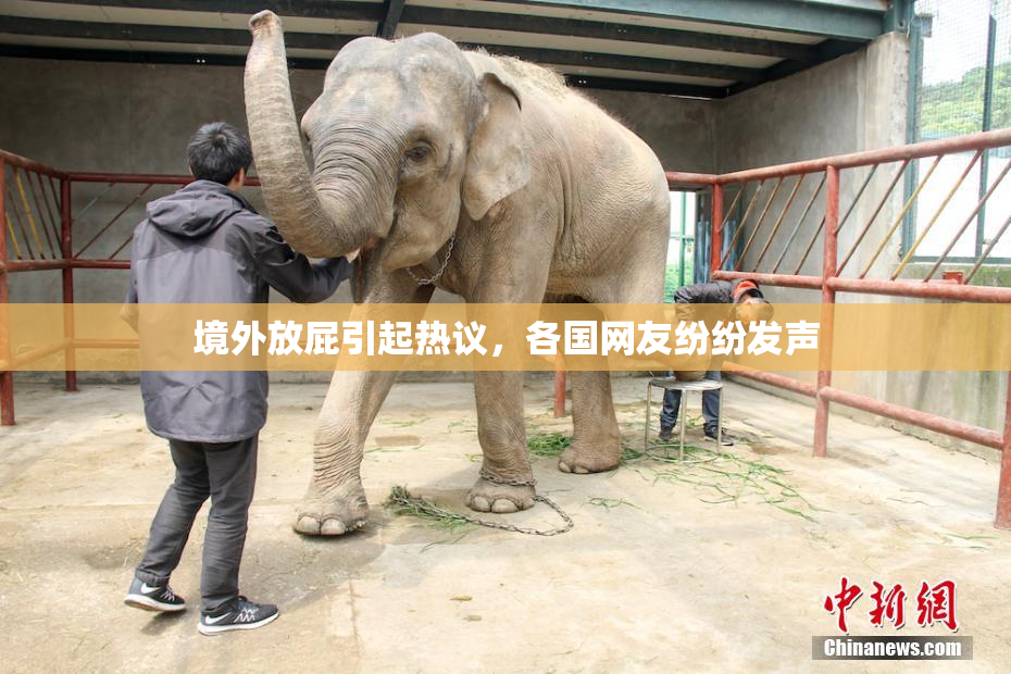 境外放屁引起热议，各国网友纷纷发声