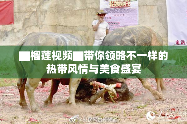 ▇榴莲视频▇带你领略不一样的热带风情与美食盛宴