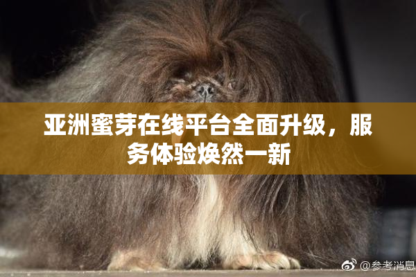 亚洲蜜芽在线平台全面升级，服务体验焕然一新