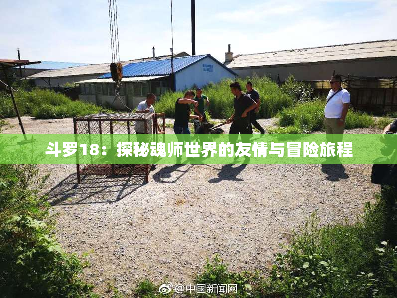 斗罗18：探秘魂师世界的友情与冒险旅程