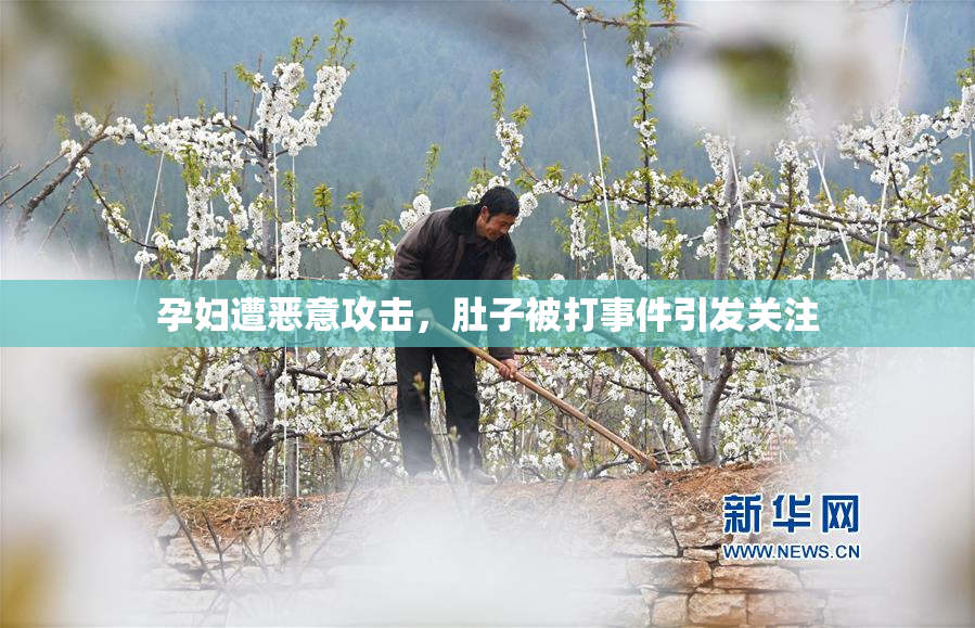 孕妇遭恶意攻击，肚子被打事件引发关注