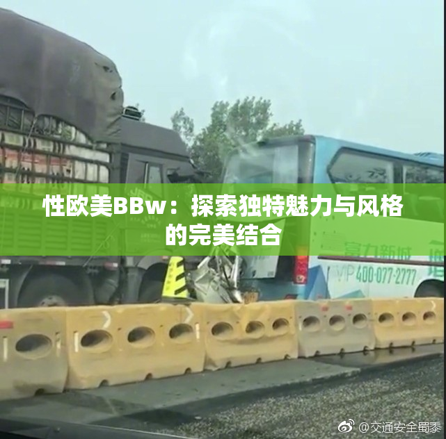 性欧美BBw：探索独特魅力与风格的完美结合