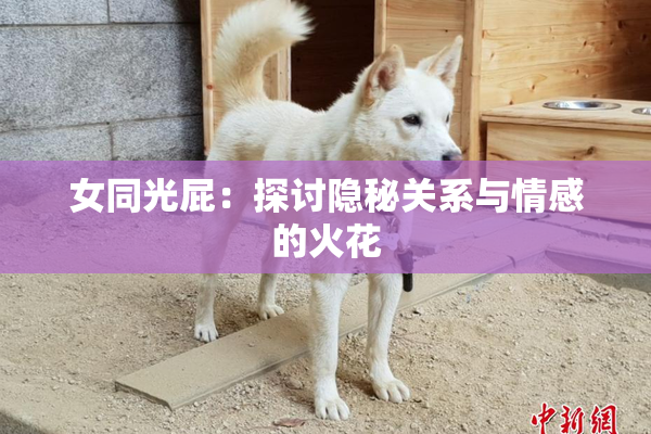 女同光屁：探讨隐秘关系与情感的火花