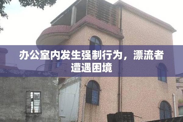 办公室内发生强制行为，漂流者遭遇困境