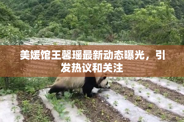 美媛馆王馨瑶最新动态曝光，引发热议和关注