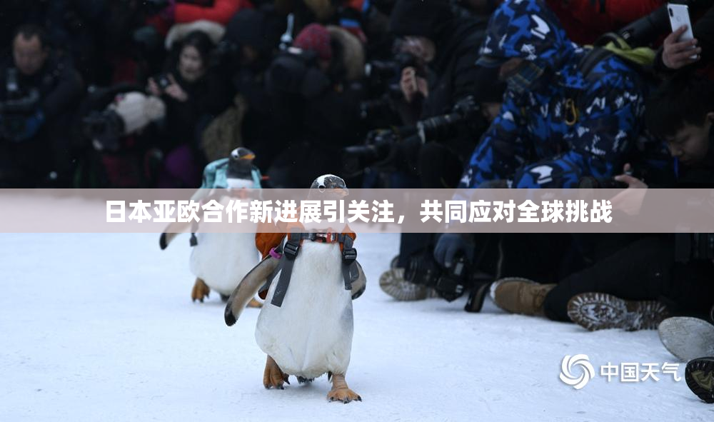 日本亚欧合作新进展引关注，共同应对全球挑战