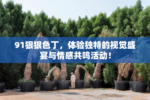 91狠狠色丁，体验独特的视觉盛宴与情感共鸣活动！
