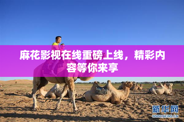 麻花影视在线重磅上线，精彩内容等你来享