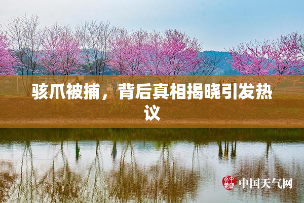 骇爪被捕，背后真相揭晓引发热议
