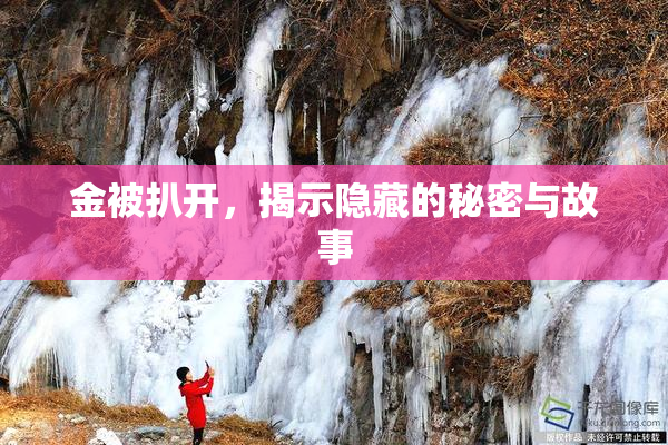 金被扒开，揭示隐藏的秘密与故事
