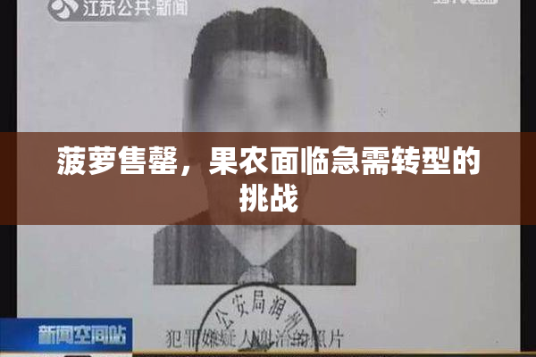 菠萝售罄，果农面临急需转型的挑战