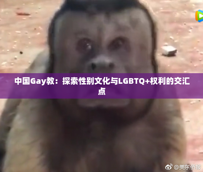 中国Gay教：探索性别文化与LGBTQ+权利的交汇点