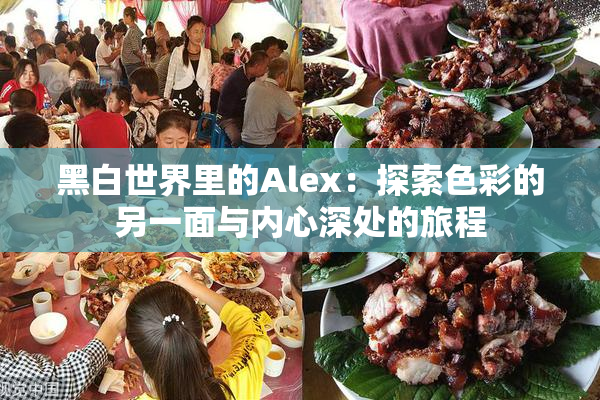 黑白世界里的Alex：探索色彩的另一面与内心深处的旅程