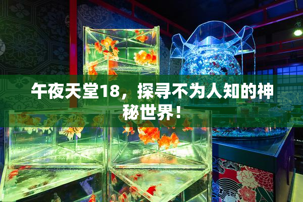 午夜天堂18，探寻不为人知的神秘世界！