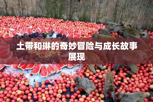 土带和琳的奇妙冒险与成长故事展现