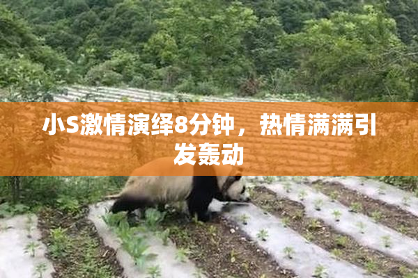 小S激情演绎8分钟，热情满满引发轰动