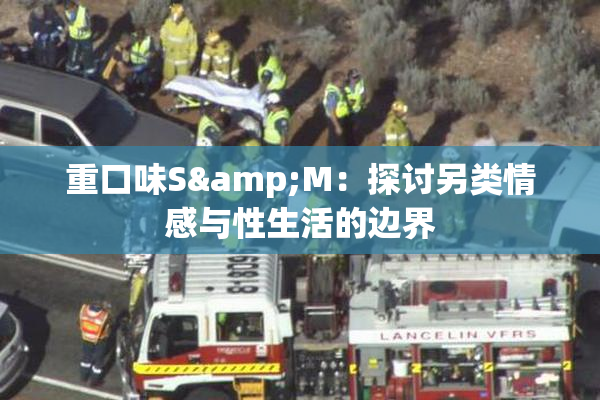 重口味S&M：探讨另类情感与性生活的边界