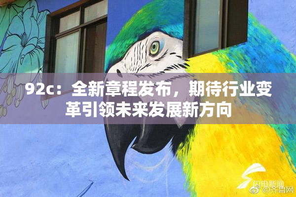 92c：全新章程发布，期待行业变革引领未来发展新方向