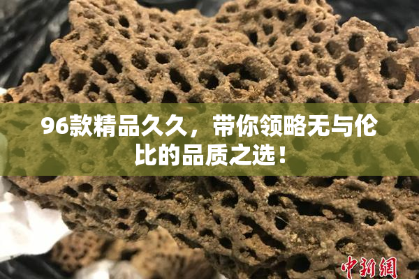 96款精品久久，带你领略无与伦比的品质之选！