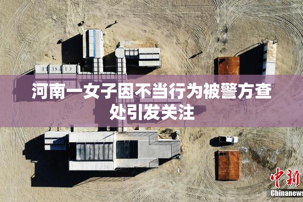 河南一女子因不当行为被警方查处引发关注