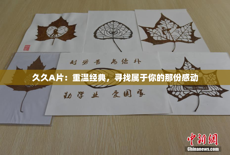 久久A片：重温经典，寻找属于你的那份感动